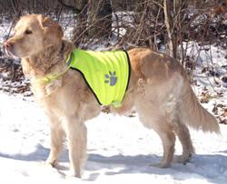 Sikkerhedsvest til hunden str L